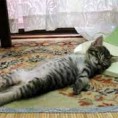/album/fotogaleria/images-7-jpg/
